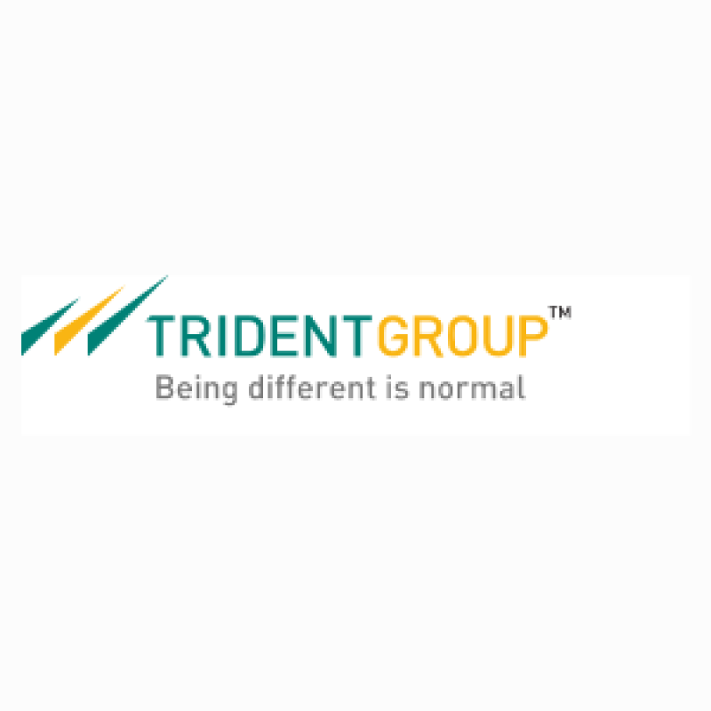 TRIDENT GROUP